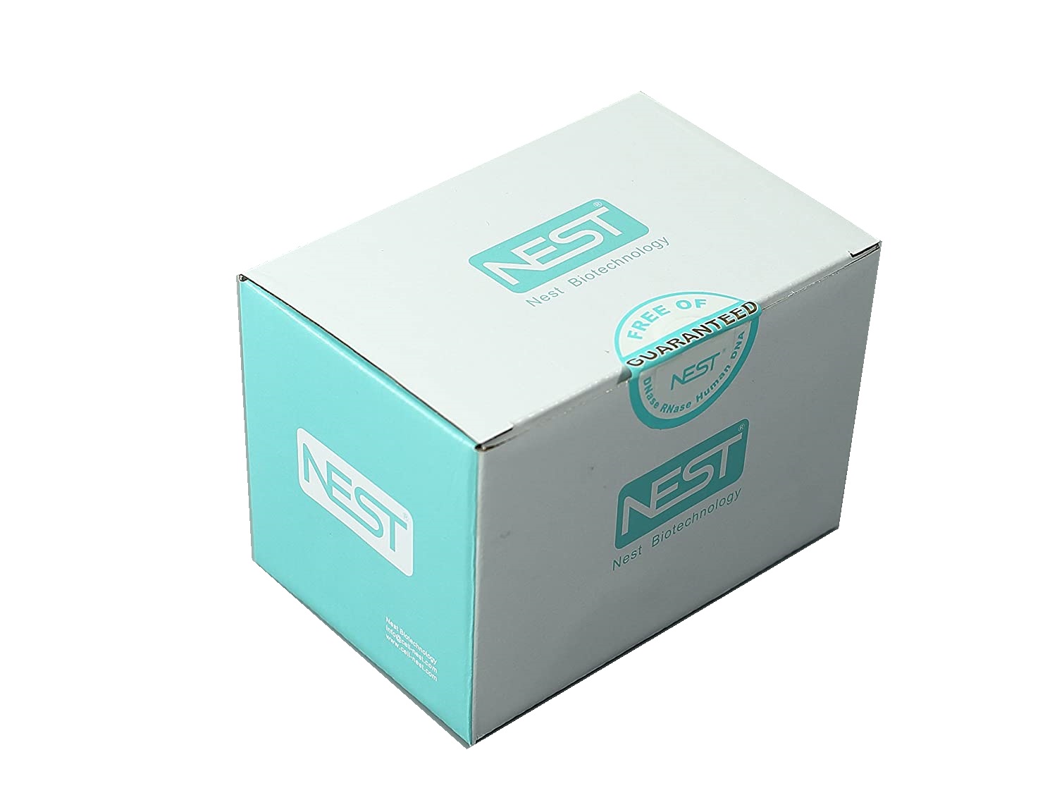          NEST®  - PCR TUBES Premium 0,2ml Gefäße farblos mit anh. Deckelstreifen(1000 St.)