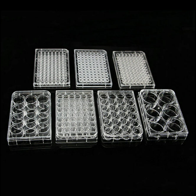     NEST ®TC-behandelte 6- bis 96-Well-Zellkulturplatte - steril (1 St.)